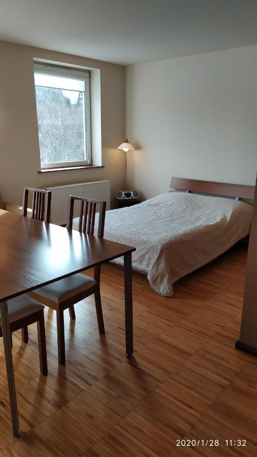 Zawoja1560 Apartamenty Przy Aptece Kültér fotó